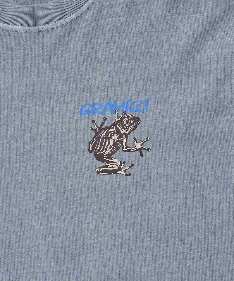 Gramicci Sticky Frog Unisex Tops Grey Blue | 236-LMTVDW